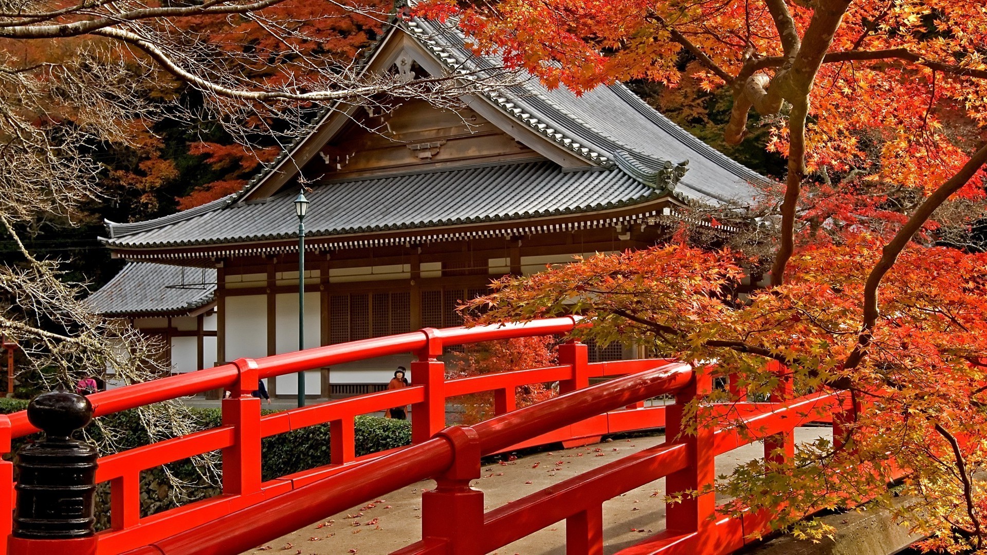 bridges travel wood architecture shinto outdoors building roof park tourism traditional wooden tree