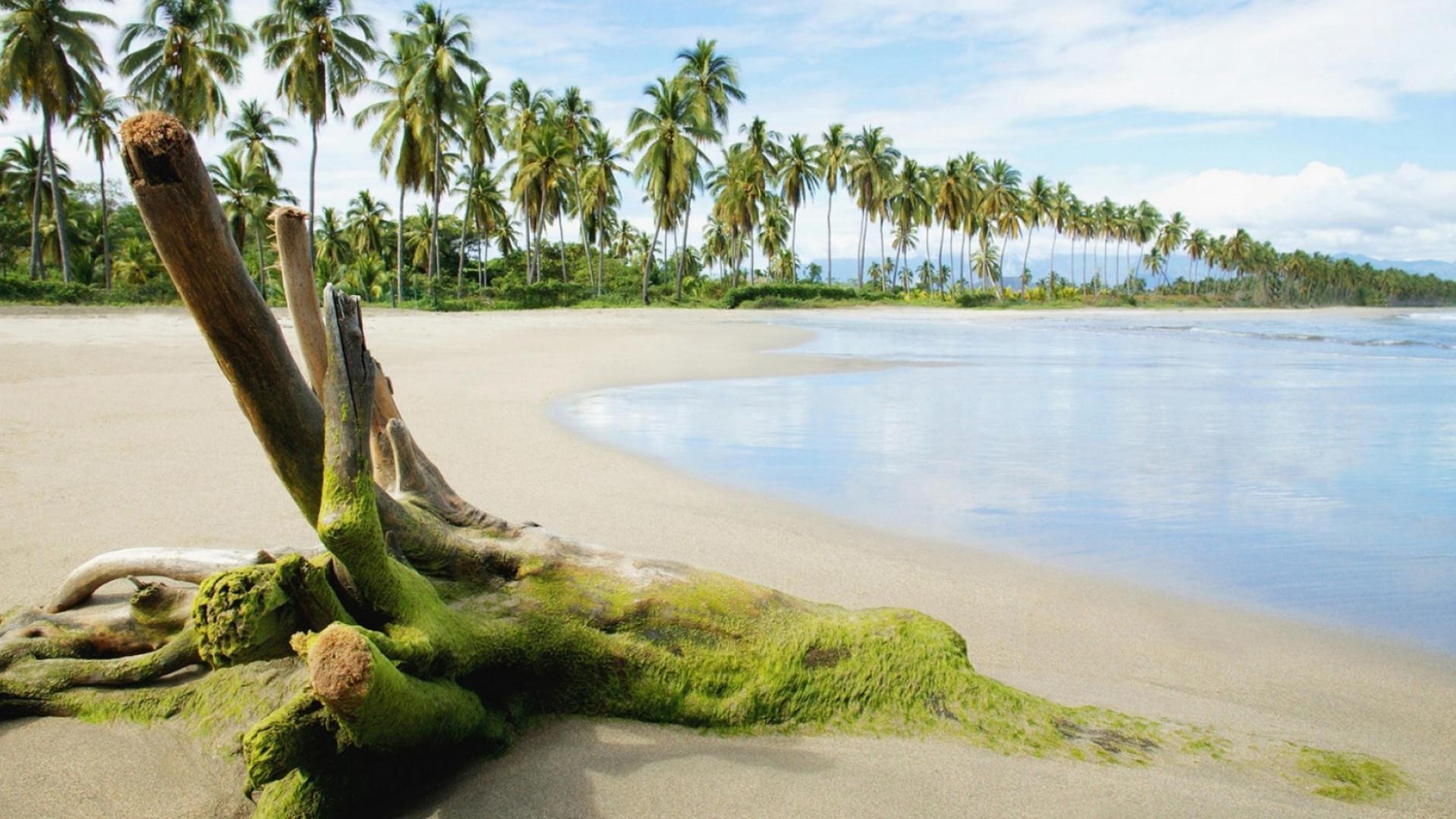 landschaft wasser strand meer sand ozean reisen tropisch baum sommer natur landschaft urlaub meer himmel palmen im freien entspannung insel