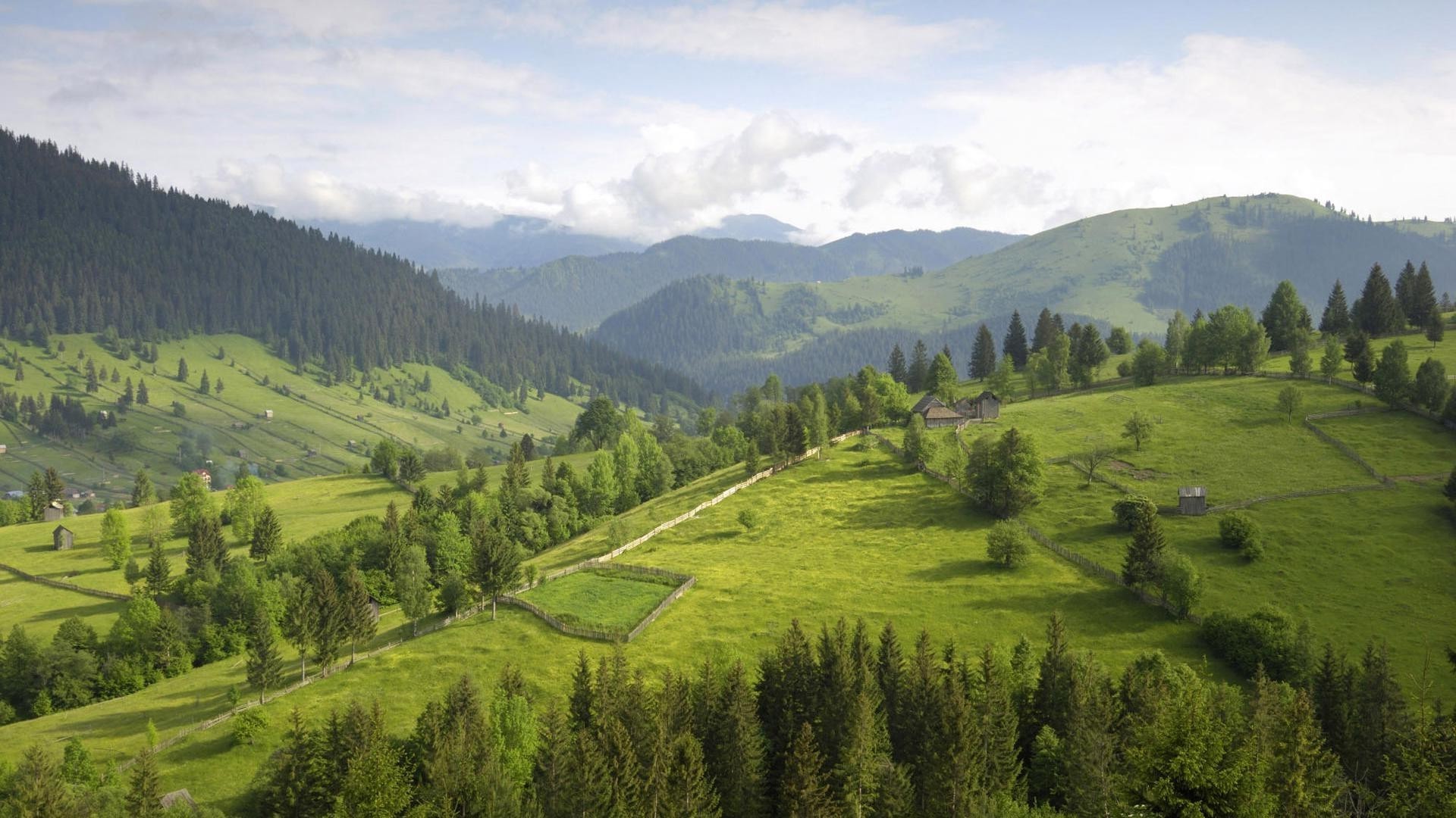 hills landscape mountain tree hill valley wood nature travel outdoors scenic daylight countryside hayfield sky agriculture summer grass