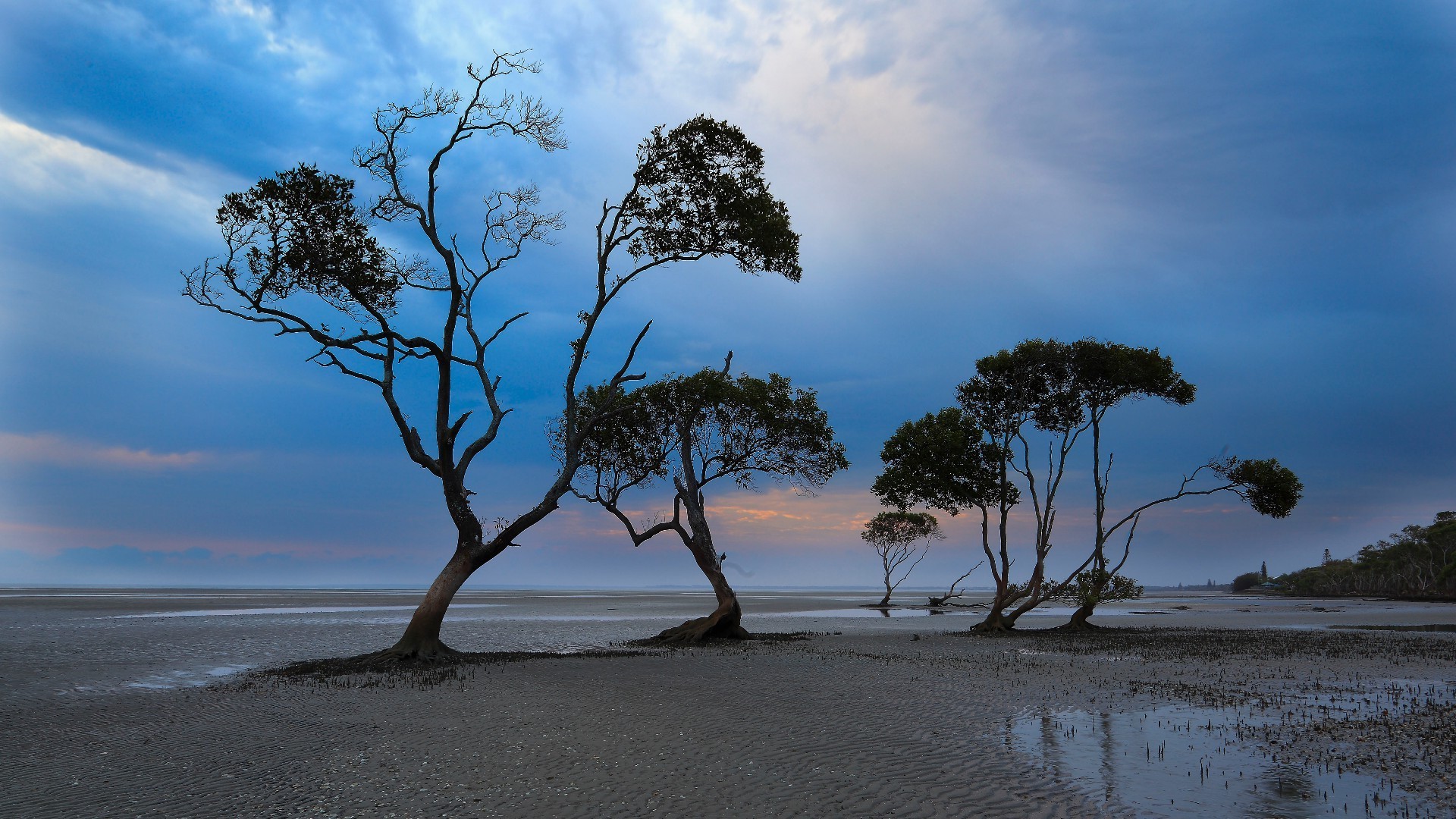 islands tree landscape water nature beach sun sky sunset dawn travel alone sea sand summer ocean outdoors