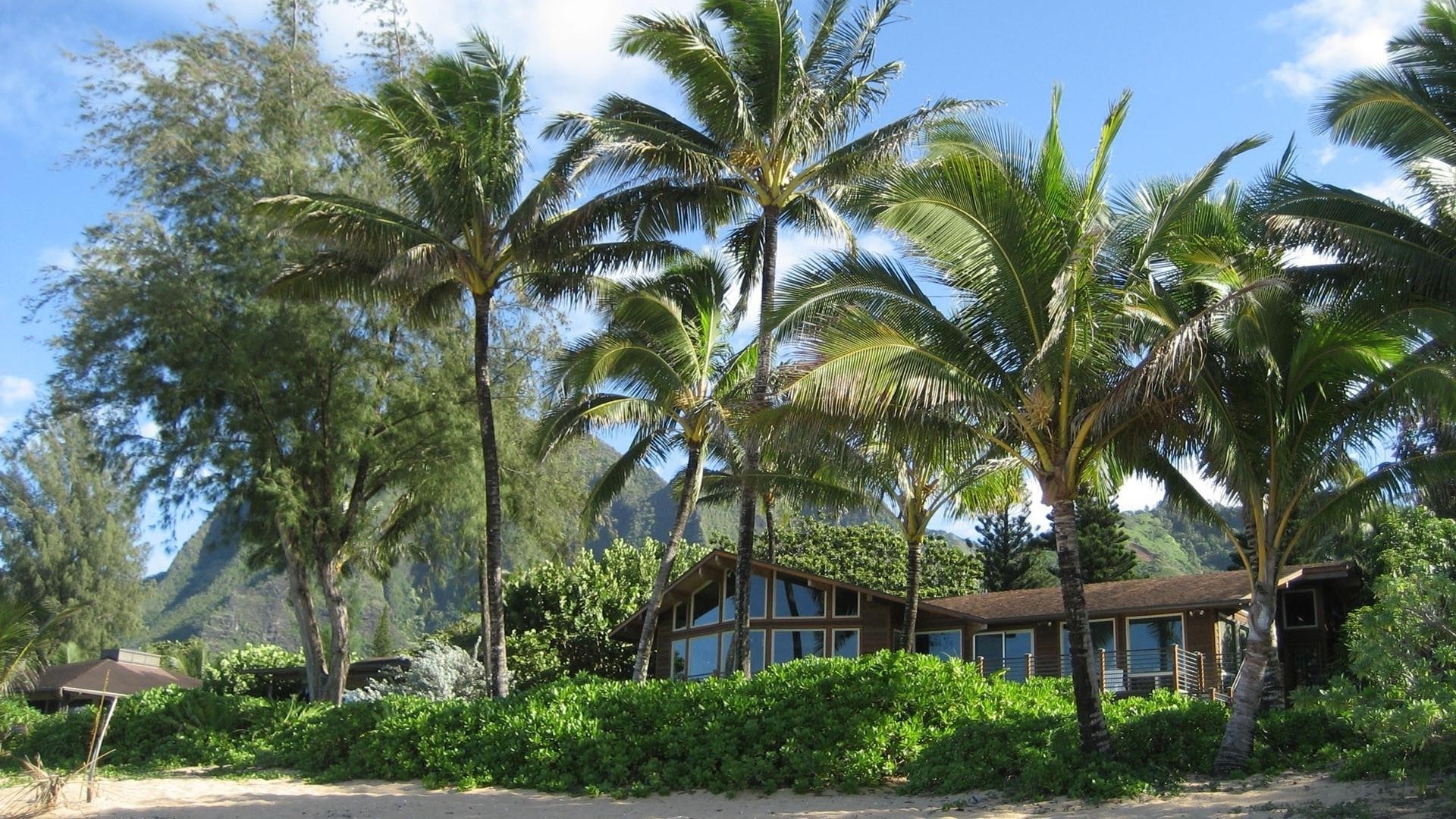 maisons et chalets palmiers tropical arbre resort noix de coco voyage vacances été plage paradis hôtel luxe exotic île tourisme soleil