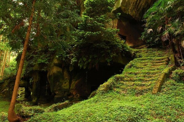 Stairs overgrown with grass