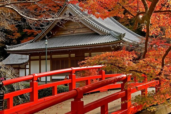 Beautiful roof. Bridge. Red railings