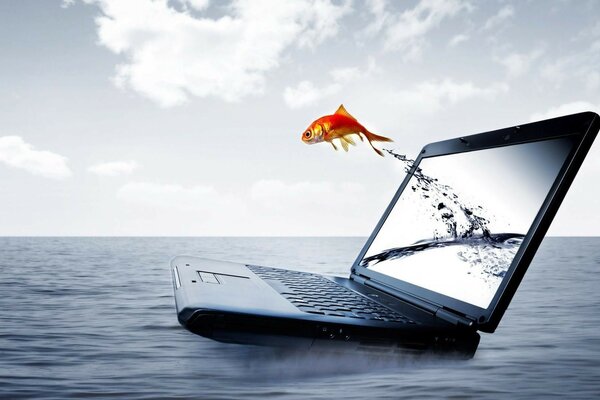 金鱼跳出笔记本电脑