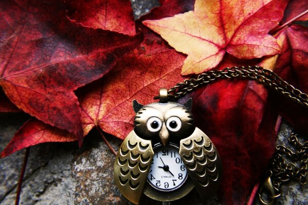 Owl clock on a stone among red leaves