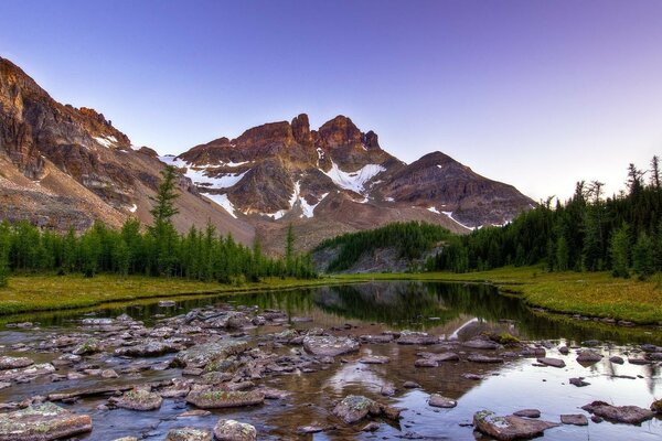 Mountain river among fir trees and snowy peaks