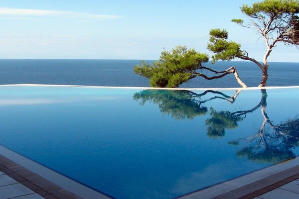 The perfect pool against the background of calm water