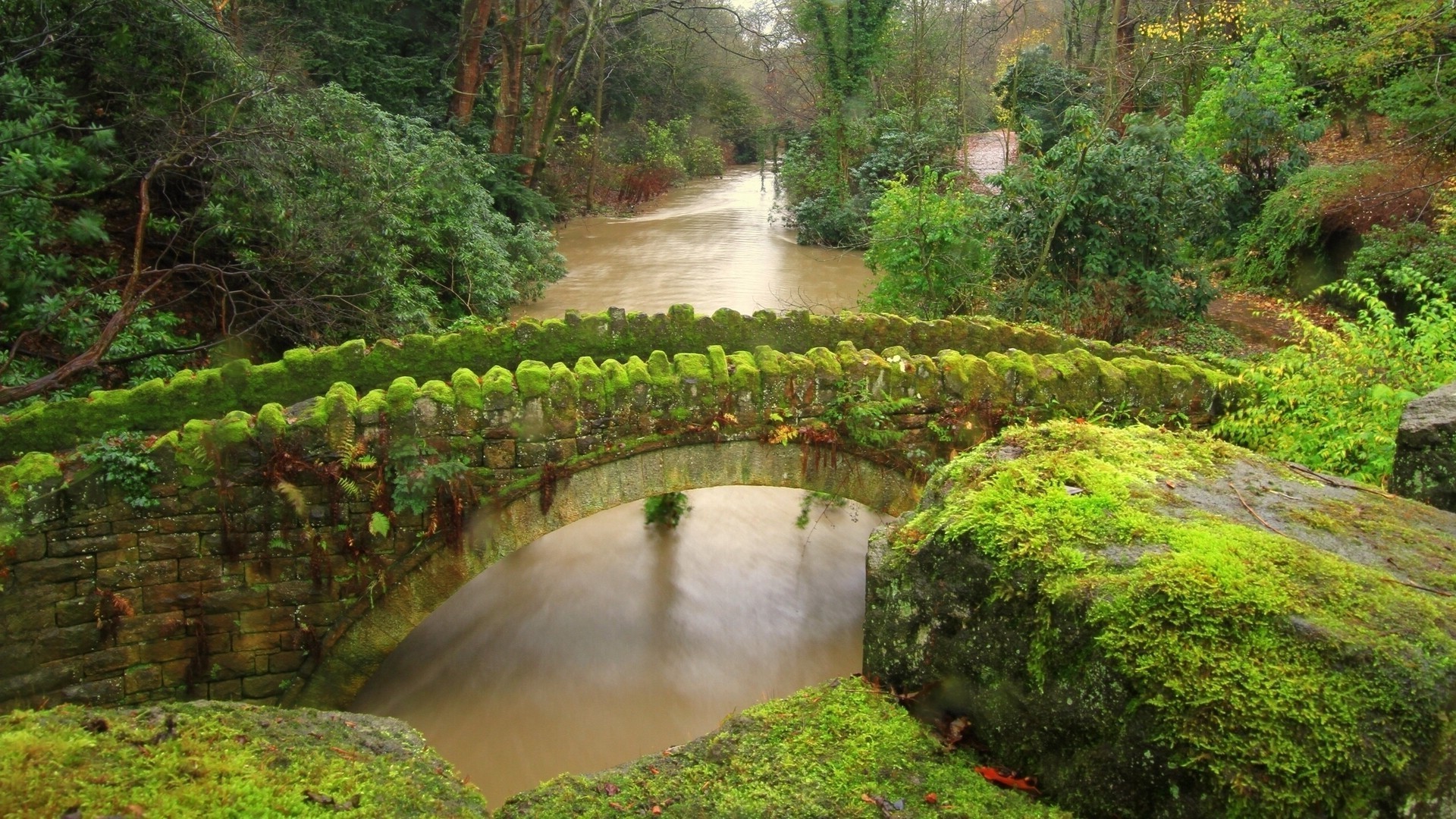 rivers ponds and streams water tree nature landscape leaf waterfall travel lush river garden wood outdoors park fall scenic stream mountain environment stone