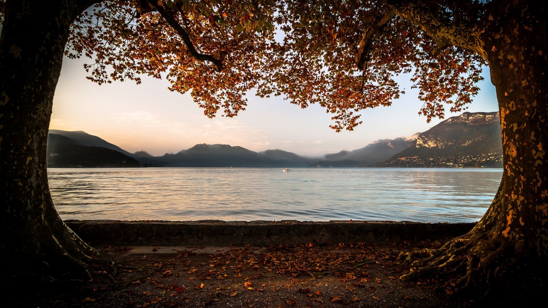 lac eau arbre paysage coucher de soleil soleil aube plage nature mer voyage automne