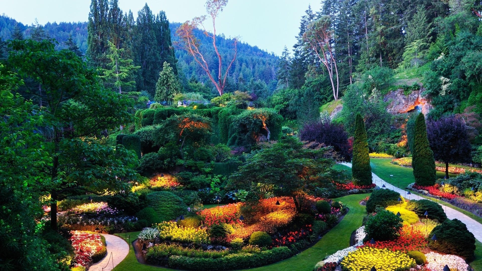 manzara ağaç bahçe park doğa manzara yaz su açık havada ahşap doğal renk çimen seyahat yaprak çiçek sonbahar sezon çim güzel