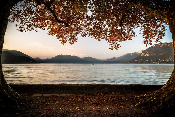 Fondos de Escritorio paisaje lago