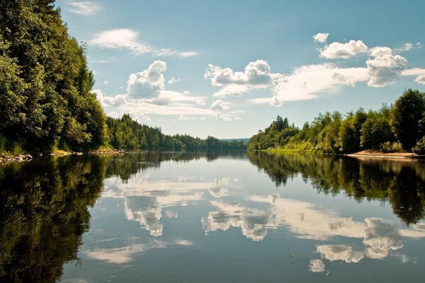 Vue de l étang avec des rives vertes