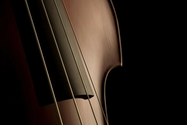 Shaded photo of the neck and strings of the violin