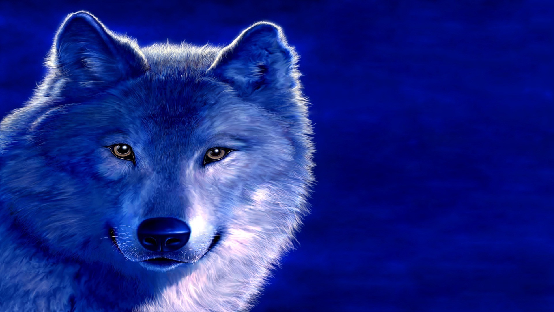 Красивые обои на телефон волк. Волк. Синий волк. Картинки на рабочий стол волки. Волк на синем фоне.