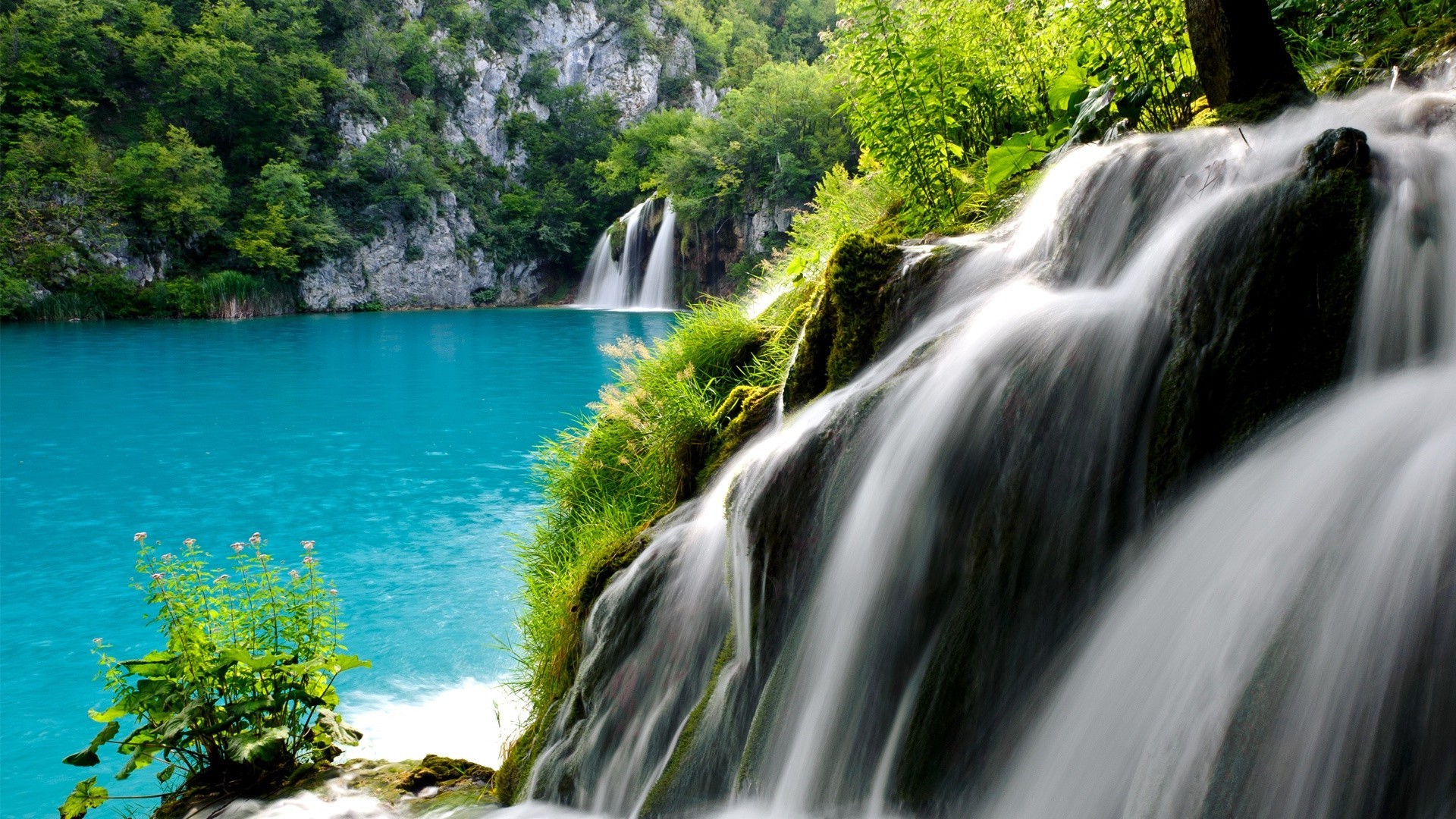 cascate cascata acqua fiume flusso natura roccia legno cascata flusso paesaggio viaggi all aperto traffico splash creek estate albero foglia bagnato