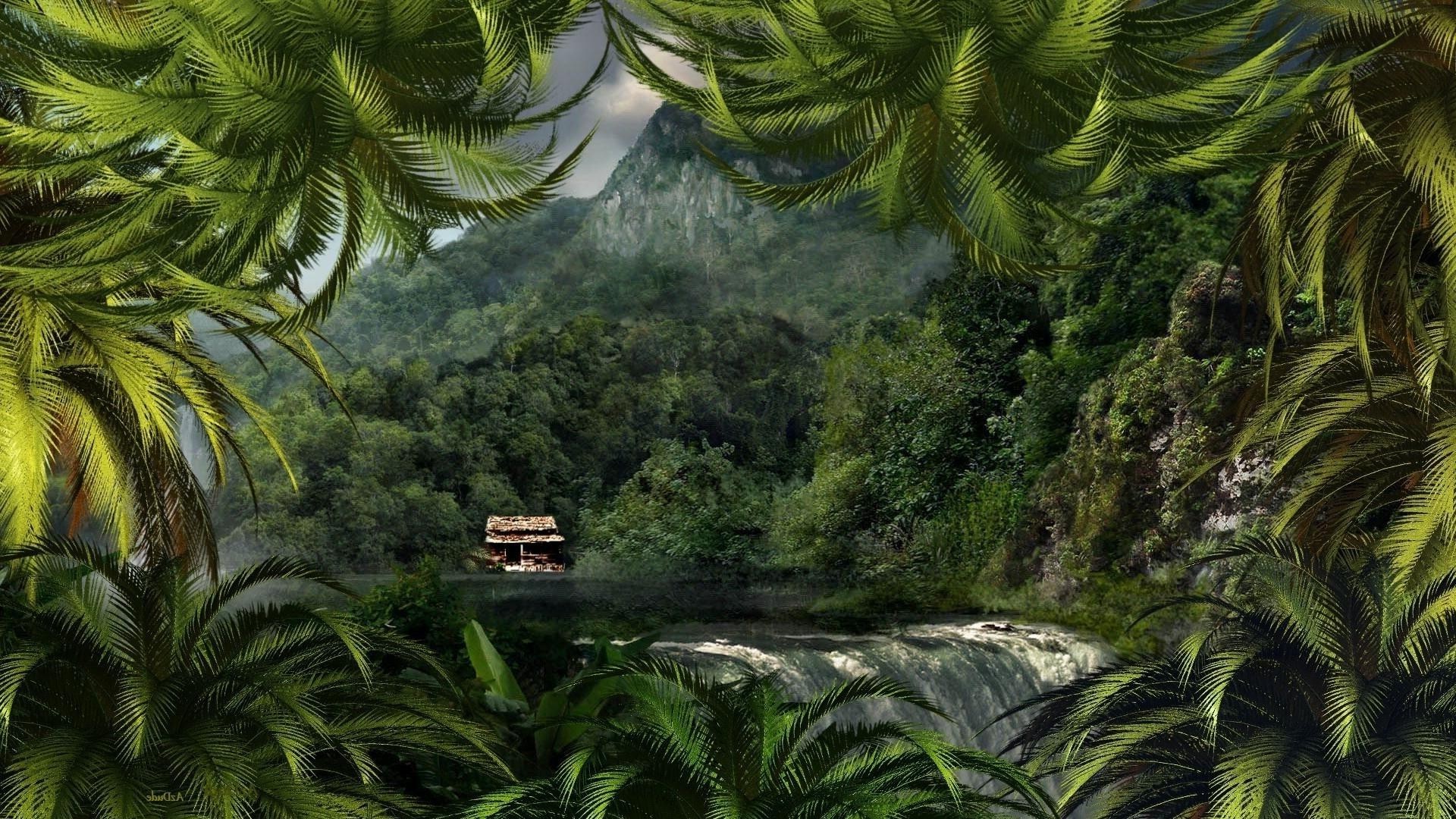 Озера бассейн природа флора тропический лес заросли сад парк