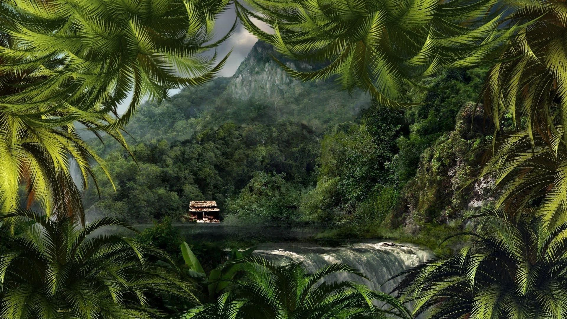 maisons et chalets arbre palmiers tropical nature forêt tropicale feuille luxuriante été bois jungle flore fronde paradis noix de coco île exotique voyage paysage vacances