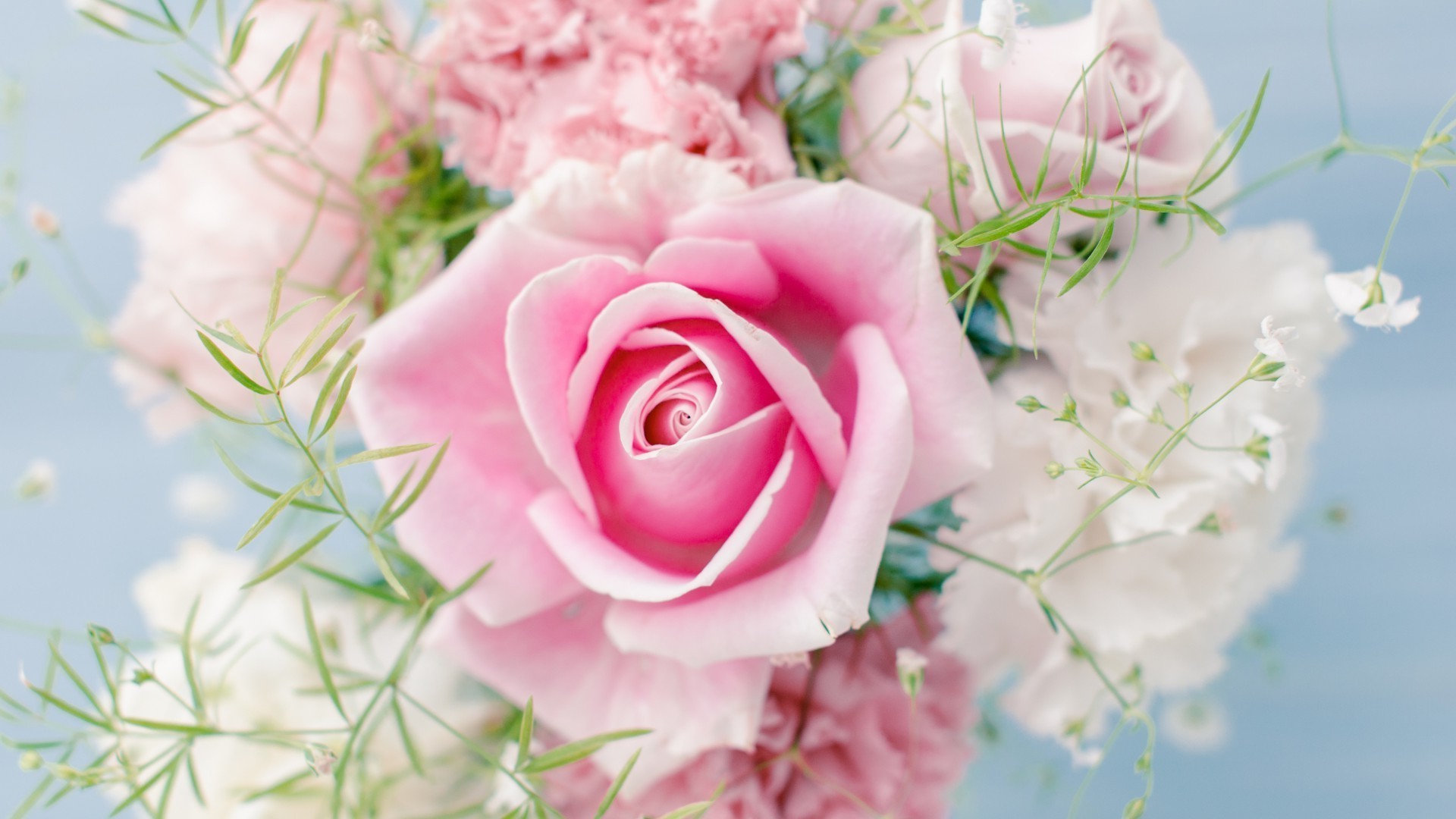 розы цветок свадьба букет цветочные природа любовь кластер блюминг флора лепесток лист романтика романтический пастель красивые подарок цвет нежный