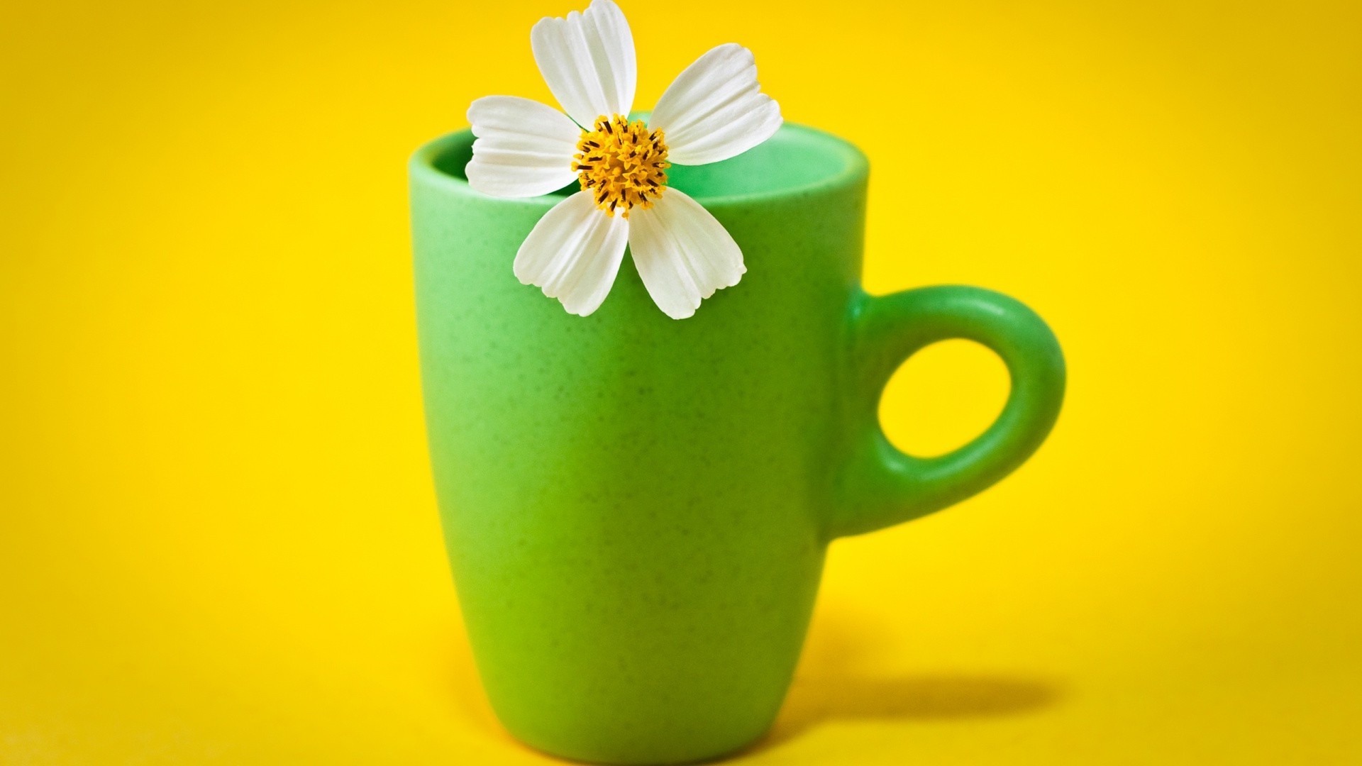 alimentos y bebidas taza flor té escritorio color beber