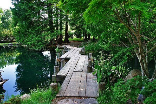 Plaza verde para la privacidad con la naturaleza