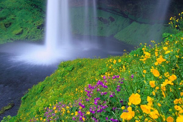 Summer, warm landscape with waterfall