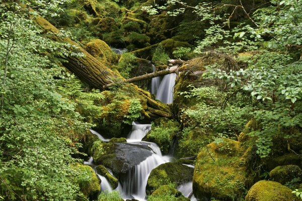 Paesaggio a cascata attraverso rocce e rocce