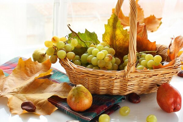 Cesta de frutas y hojas de otoño