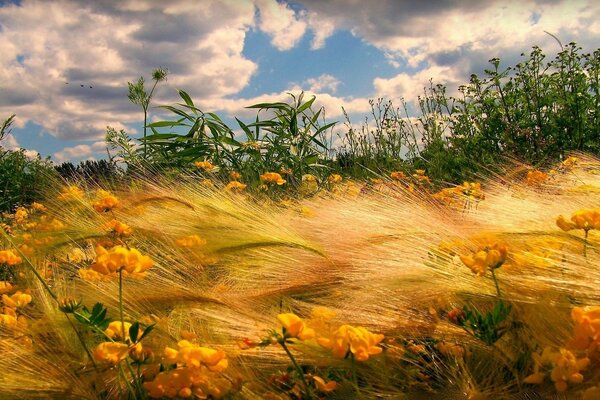 The mysterious beauty of the autumn landscape