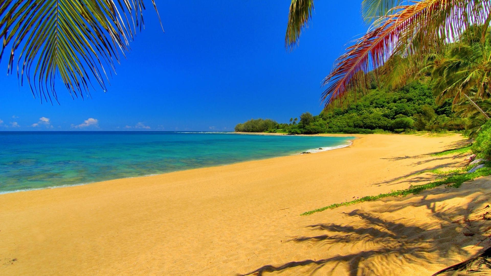 mer et océan sable plage tropical mer été exotique voyage île détente idylle océan vacances palm soleil eau paysage paradis station balnéaire surf