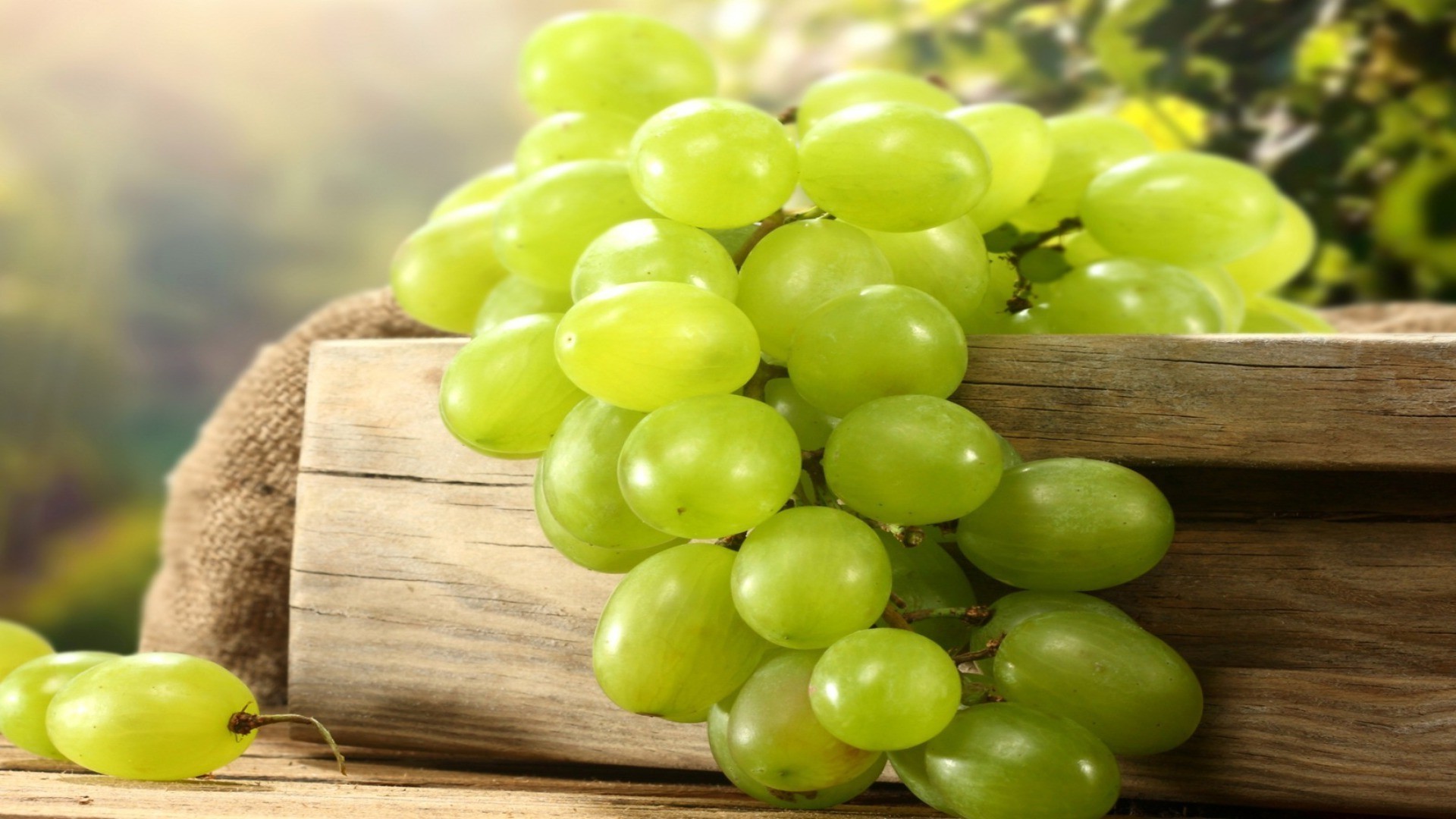 Виноград гроздь без смс