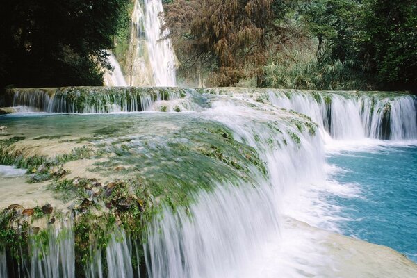 Cascading waterfall in the rainforest area