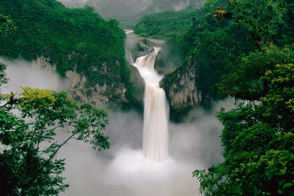 Belle nature, arbres et cascade