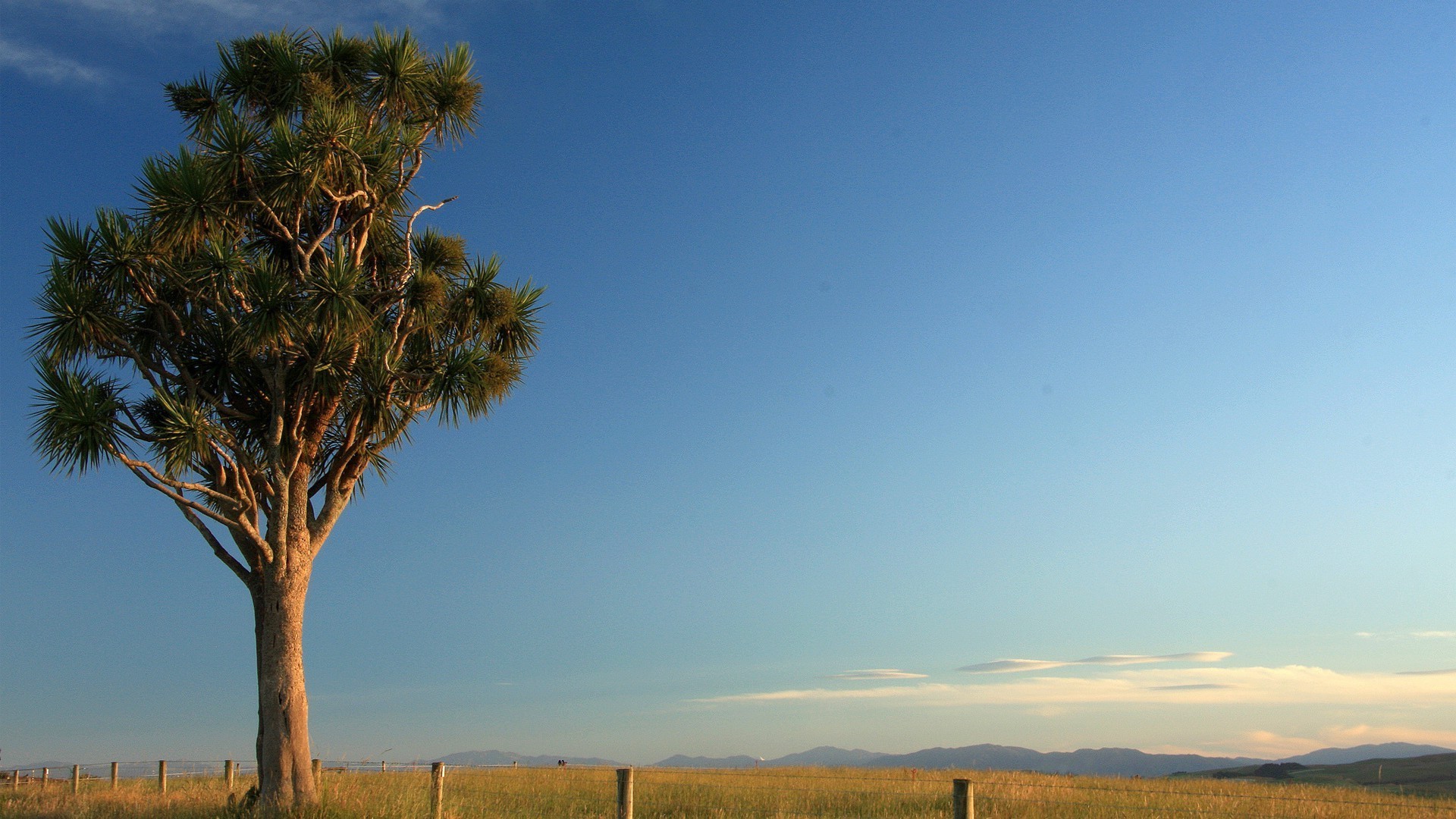 trees tree sky landscape outdoors sunset nature dawn grass sun travel fall fair weather