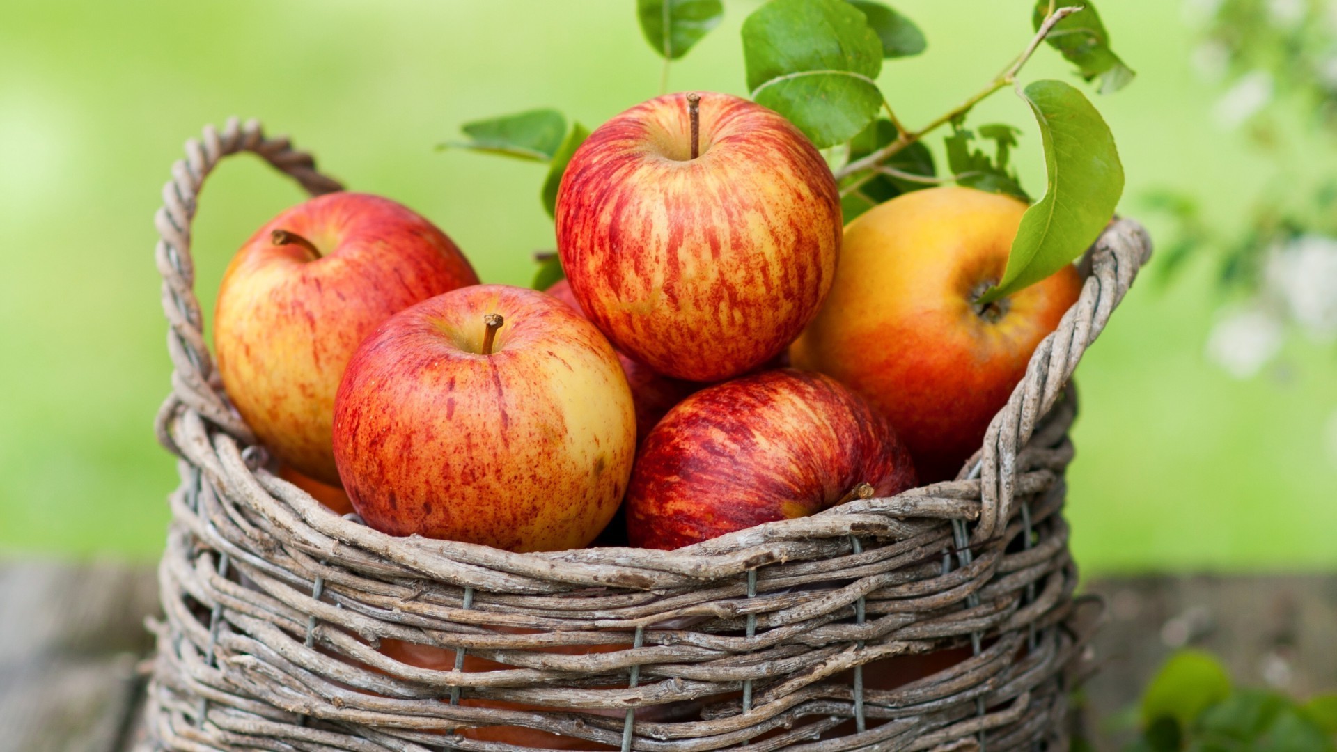 fruits panier alimentaire nature pâturage en osier juteux pomme alimentaire automne agriculture feuille jardin en bonne santé santé été marché grandir savoureux