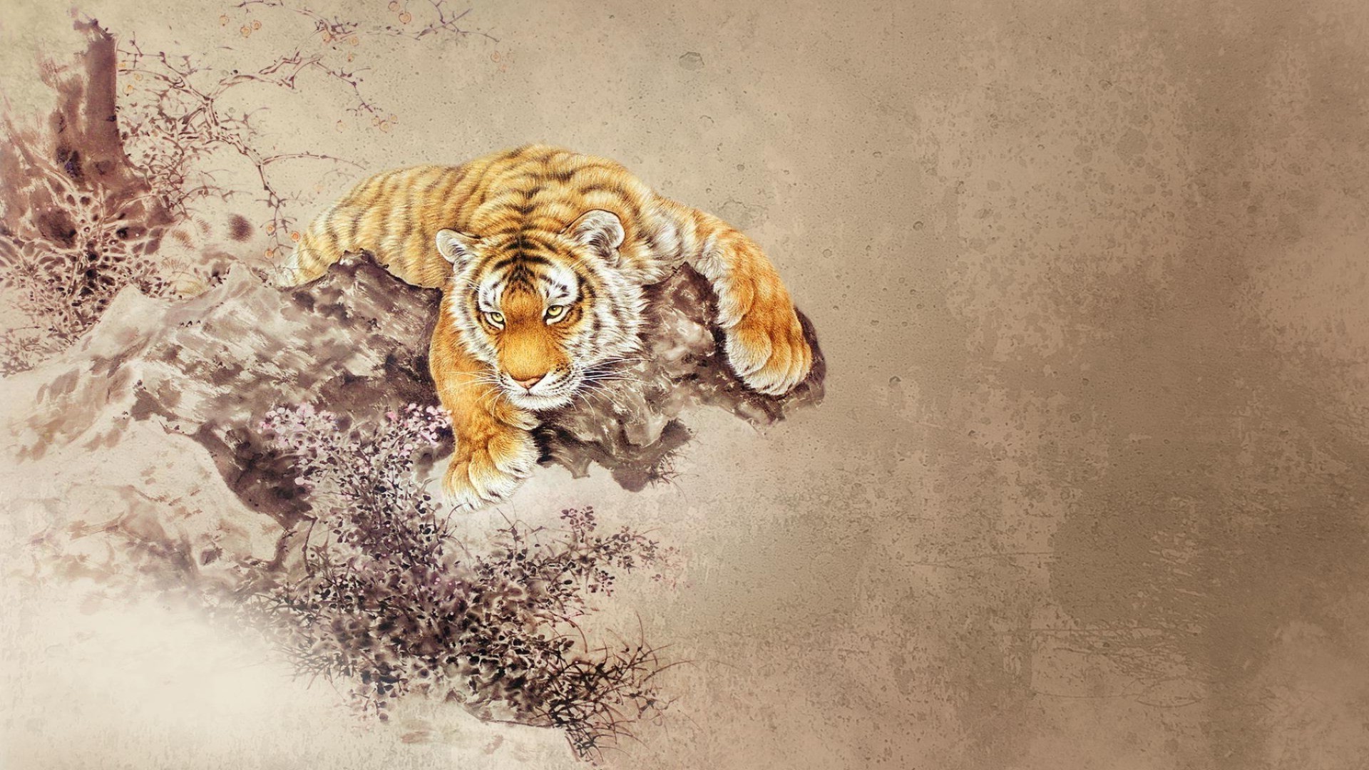 тигры млекопитающее животное кошка природа дикой природы милые портрет рабочего стола
