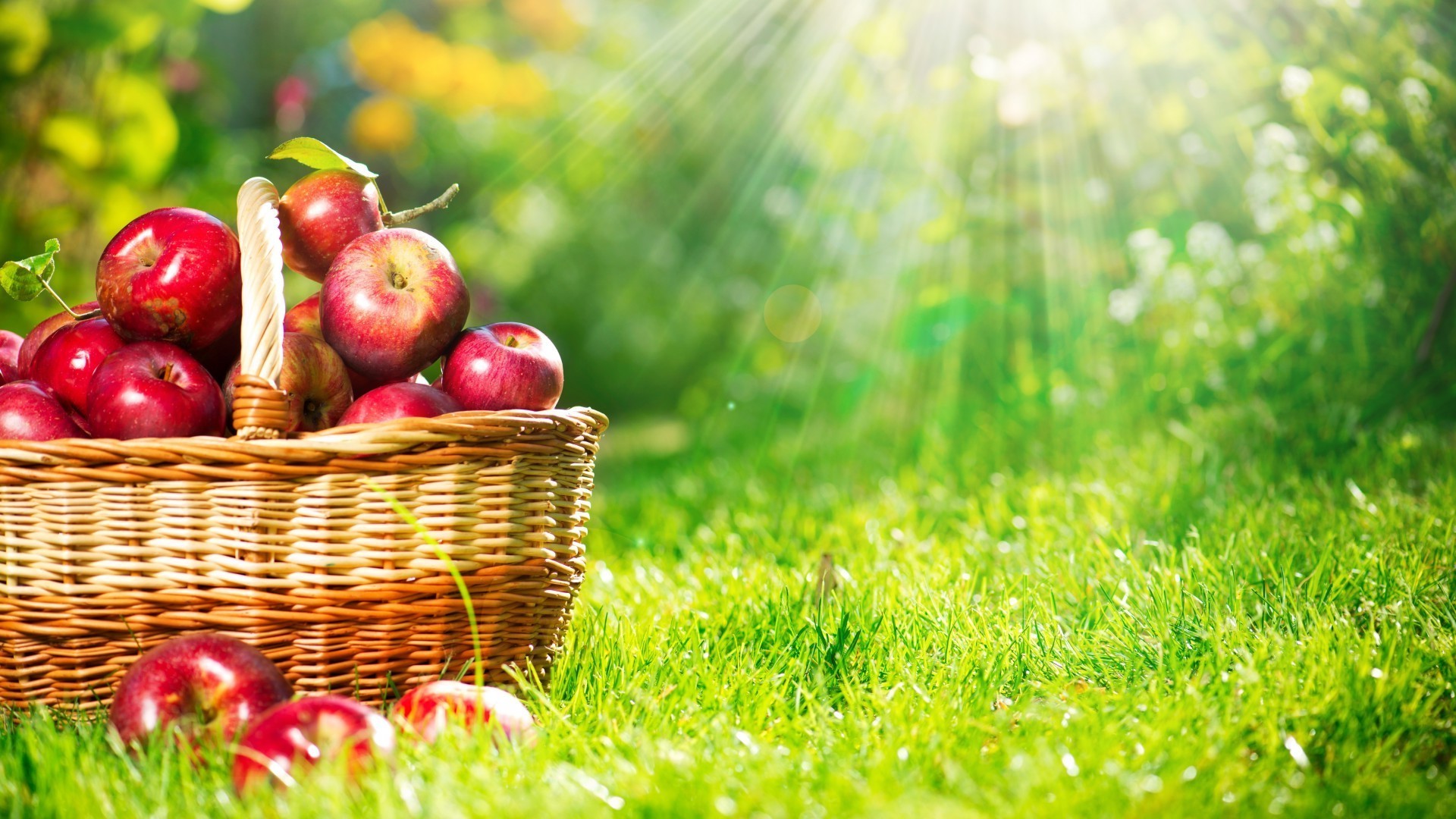 fruta cesta pasto naturaleza jardín hierba comida manzana verano mimbre hoja otoño saludable