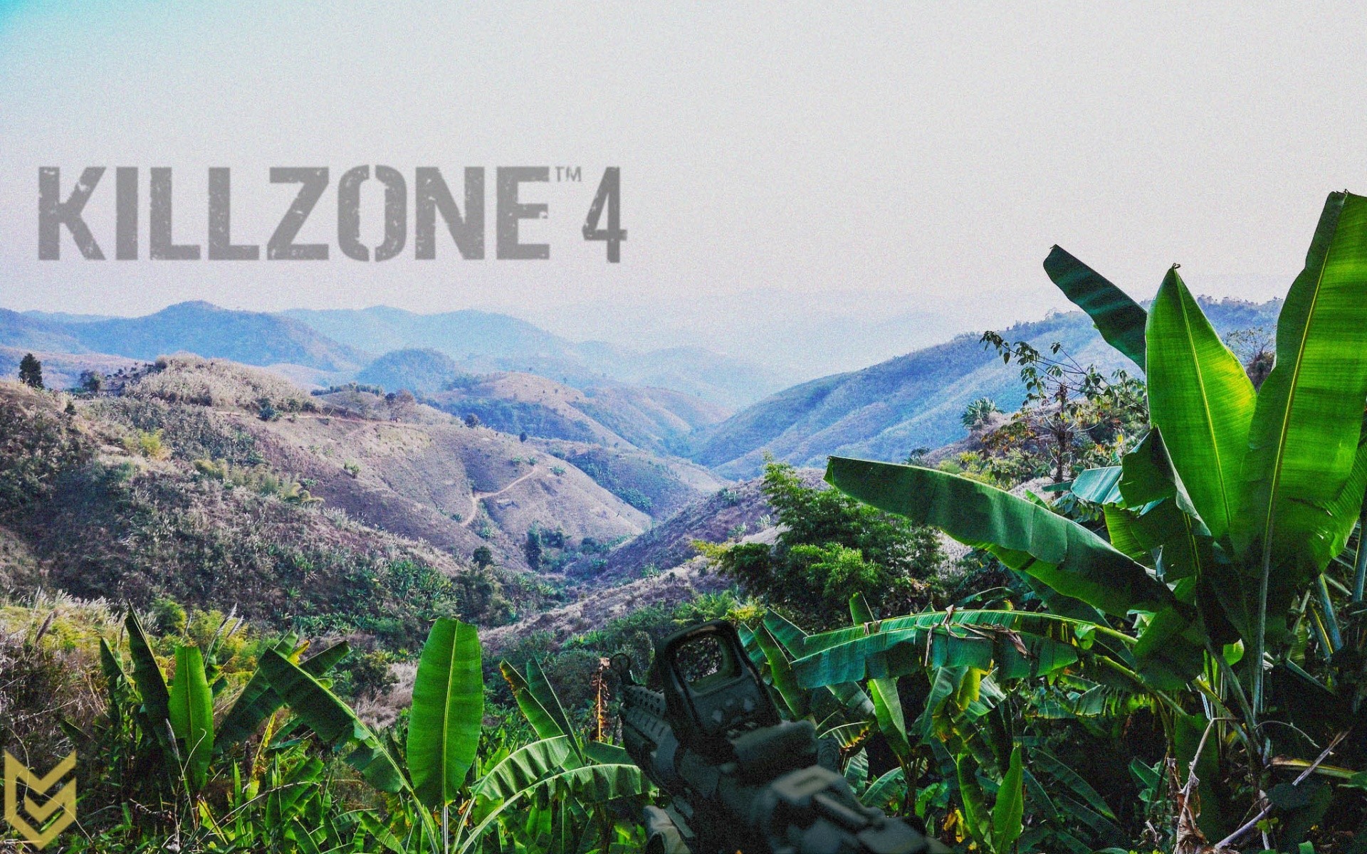 killzone 自然 热带 旅游 户外 叶 山 树 夏天 植物群 景观 木材 天空 水 草