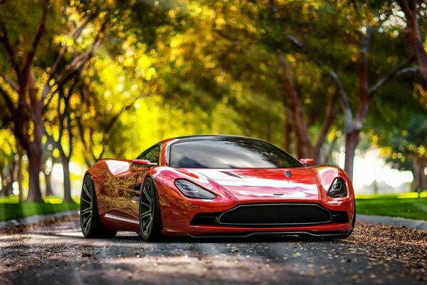 A sporty red car in the rays of the sun