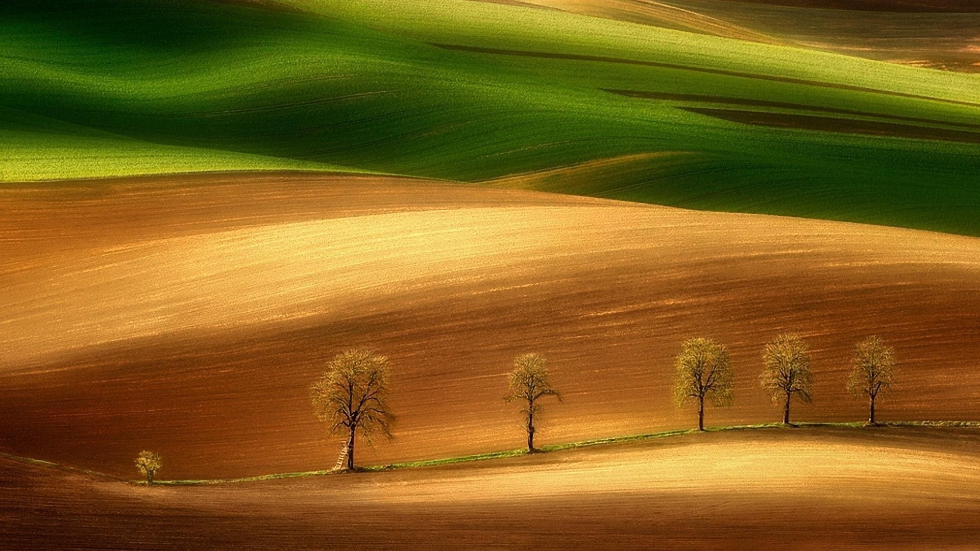 hills sunset dawn nature landscape sky grass sun tree fall fair weather summer rural countryside outdoors evening light field