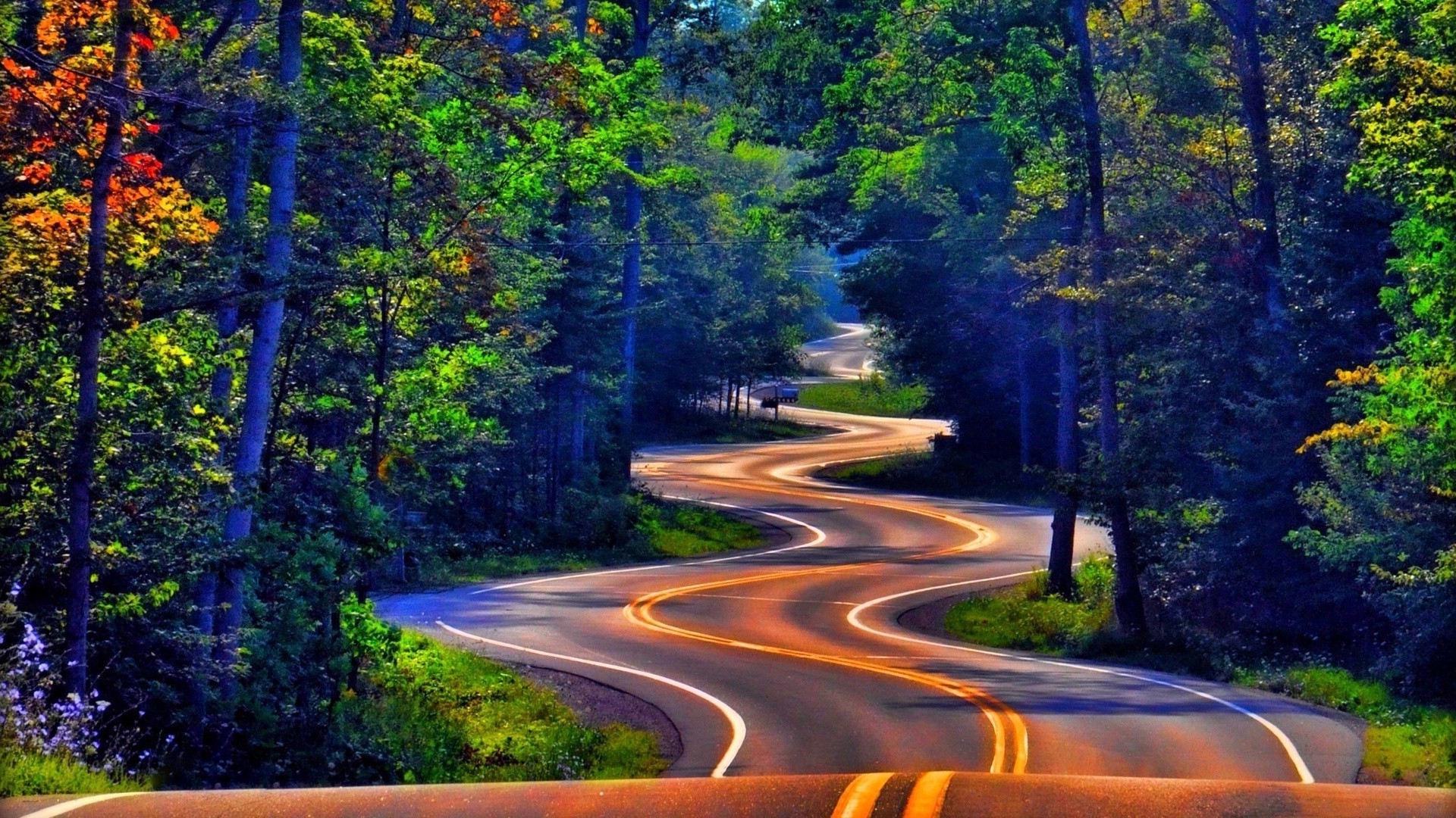 road guidance nature tree travel wood highway outdoors landscape scenic asphalt lane summer leaf