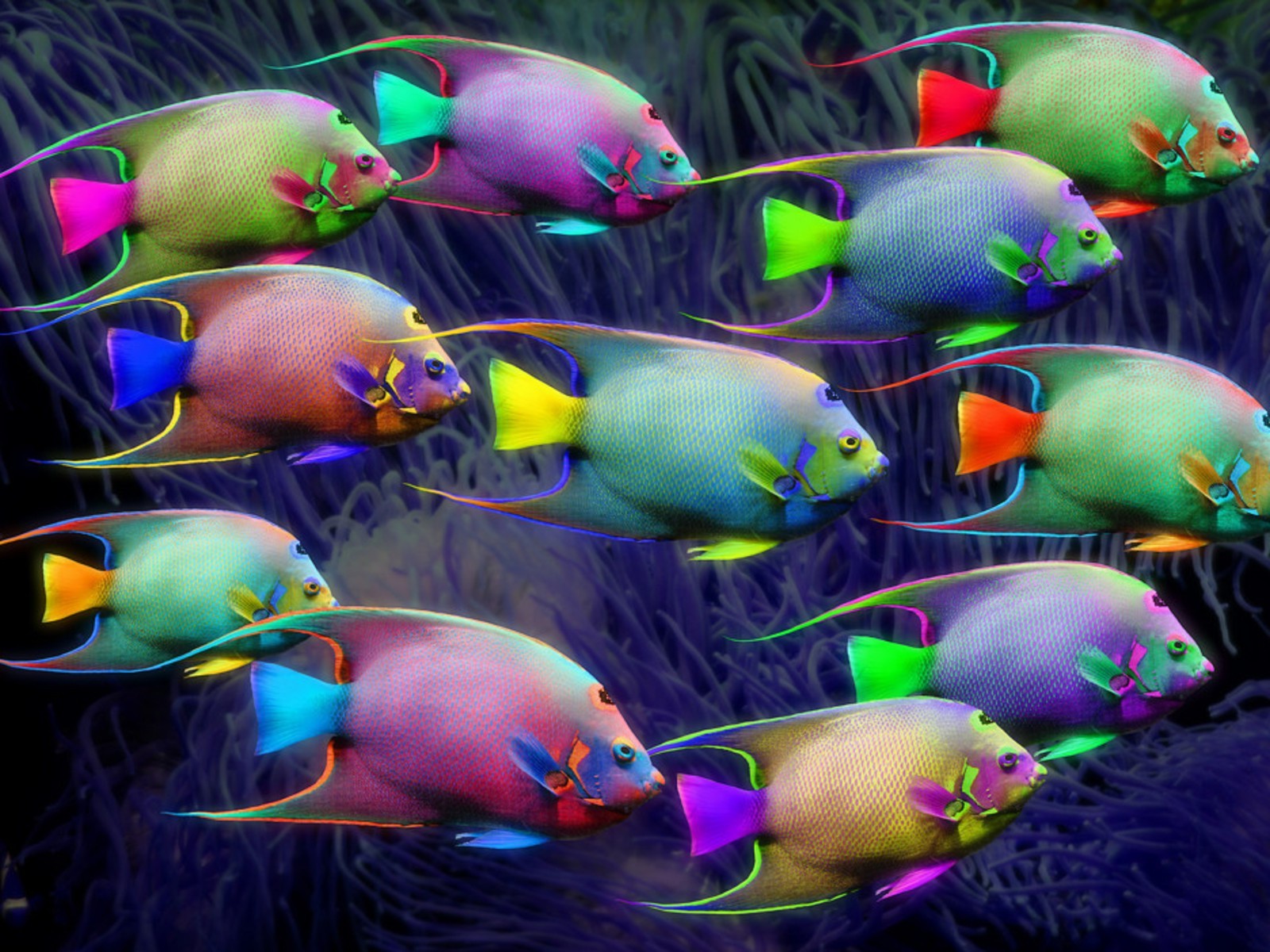 неоновые яйцо пасха рыбы украшения подводный животное пестрый аннотация график цвет фестиваль плавание дикой природы аквариум иллюстрация искусство шаблон сюрреалистично