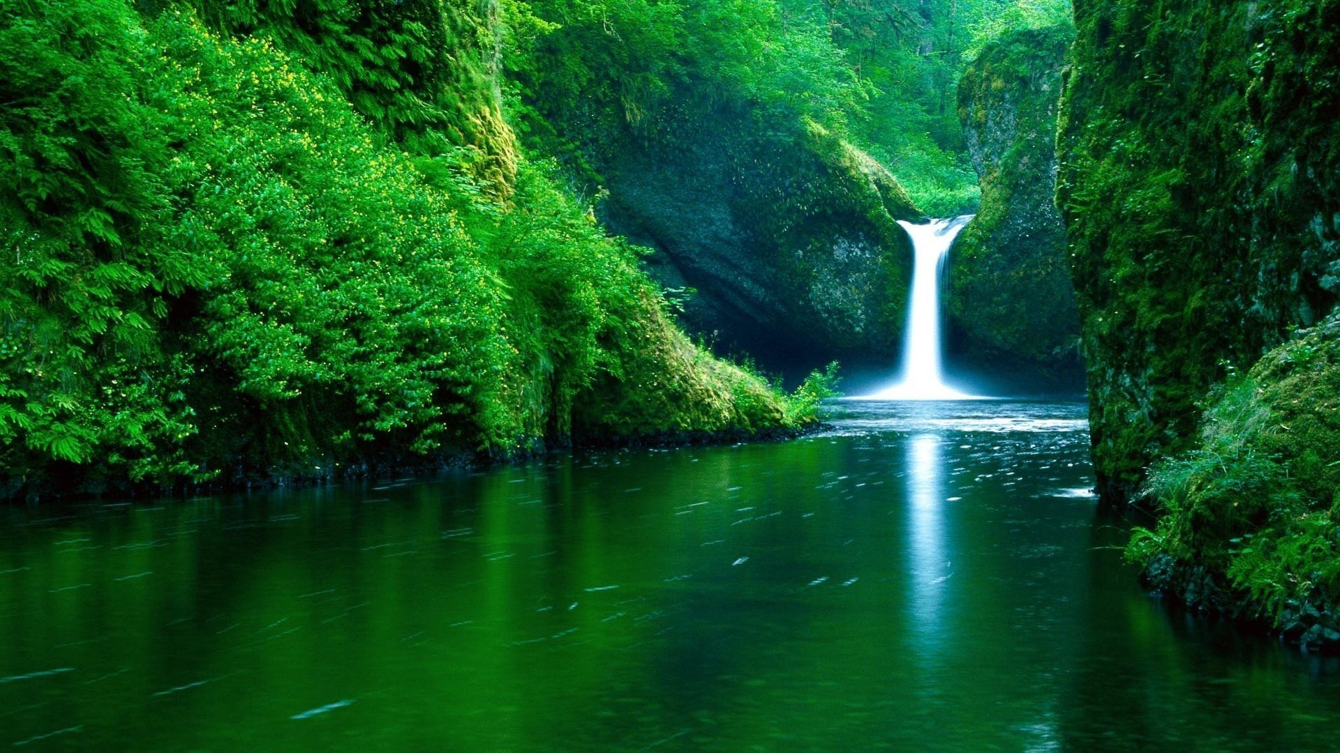 waterfalls water nature river outdoors waterfall leaf travel wood tree summer landscape stream wet