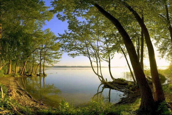 Paisaje idílico junto al lago