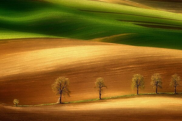 Beau coucher de soleil sur les collines