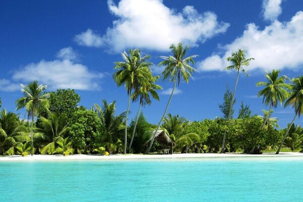 Eine paradiesische Insel mit weißem Sand und Palmen