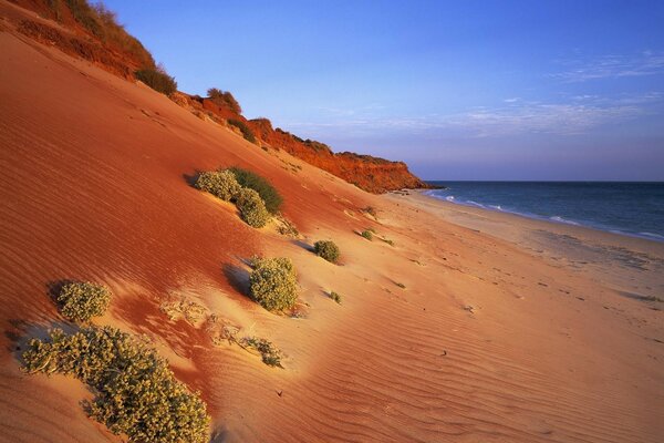 A lot of sand on the beach of the sea