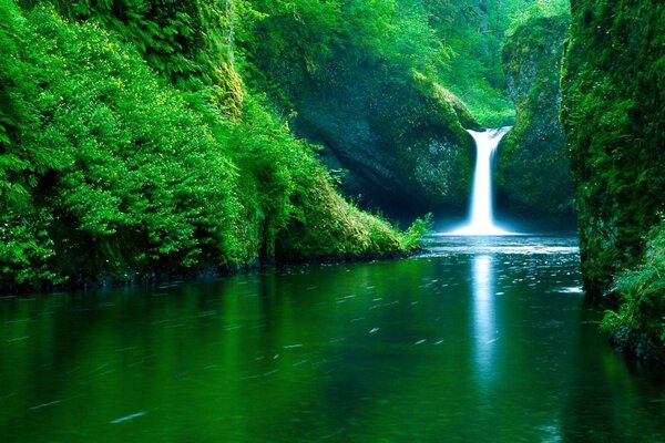 Waterfall surrounded by green nature