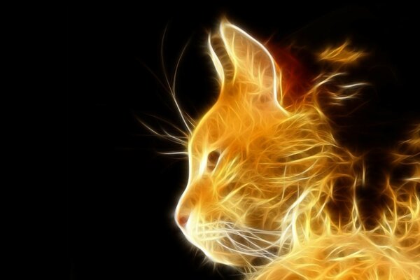 Illustrazione di un gatto di fuoco su sfondo nero