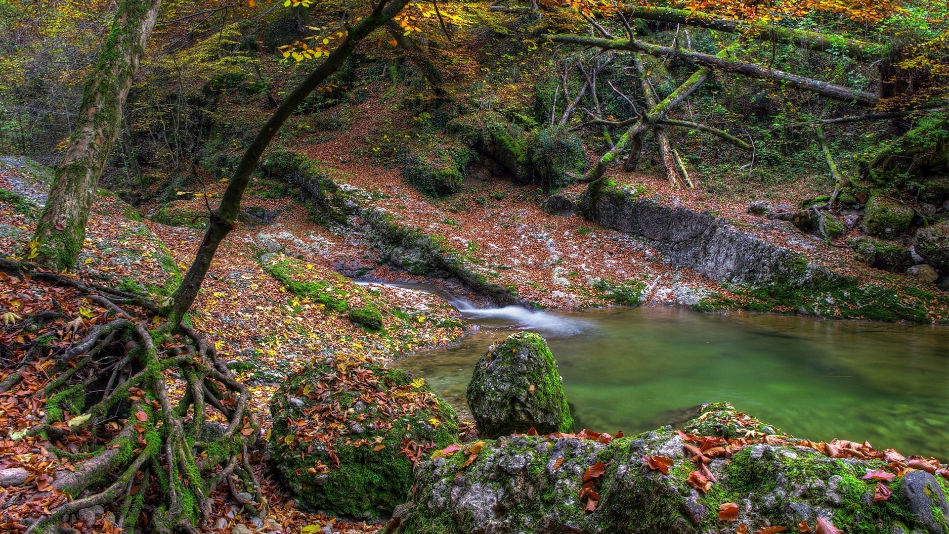 rochas pedregulhos e pedras pedregulhos e pedras outono folha água paisagem madeira madeira córrego natureza rio musgo ao ar livre parque cênica ambiente viagem córrego exuberante cachoeira grito