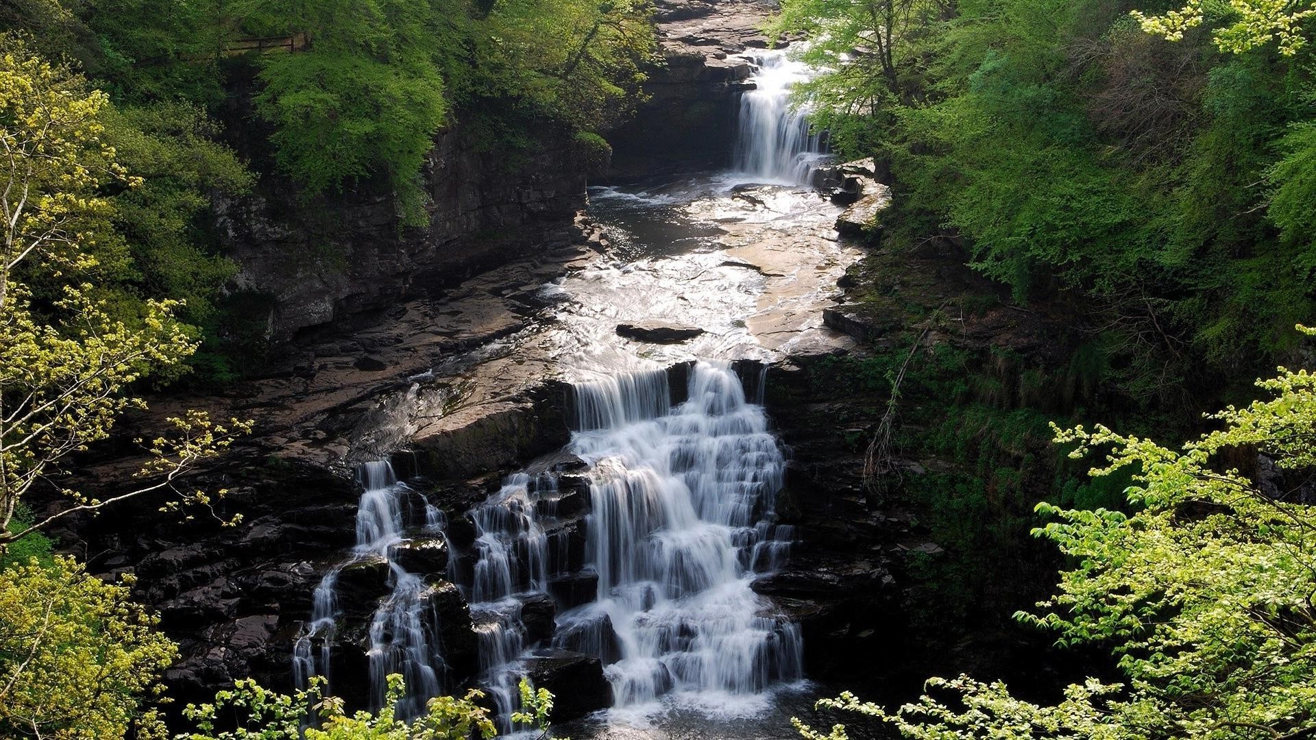 瀑布 水 瀑布 河流 自然 溪流 木材 户外 岩石 旅游 秋天 瀑布 景观 树叶 运动 尖叫 溪流 山 风景 野生